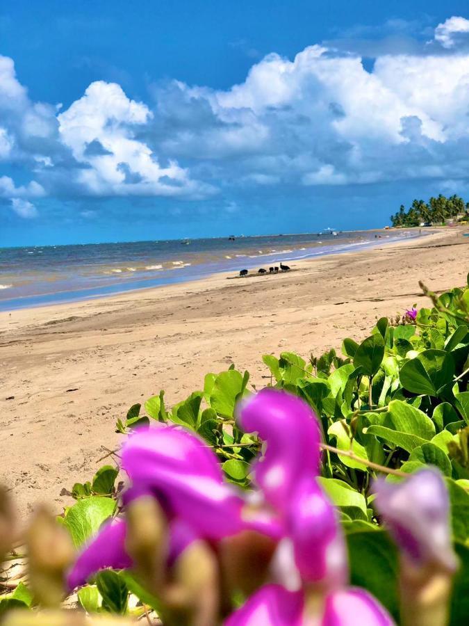 Praias De & Casas Deluxe 公寓 *